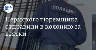 Пермского тюремщика отправили в колонию за взятки - ura.news - Пермский край