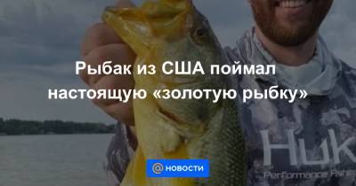 Рыбак из США поймал настоящую «золотую рыбку» - news.mail.ru - штат Арканзас