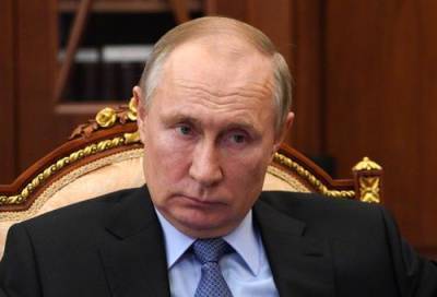 Владимир Путин - Себастьян Курц - Путин заявил, что Протасевича «не знает и знать не хочет» - argumenti.ru - Австрия - Минск - Индонезия