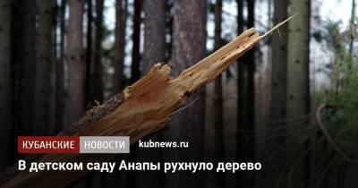 В детском саду Анапы рухнуло дерево - kubnews.ru - Анапа - Краснодарский край - Краснодар