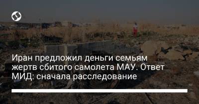 Иран предложил деньги семьям жертв сбитого самолета МАУ. Ответ МИД: сначала расследование - liga.net - Иран