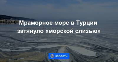 Мраморное море в Турции затянуло «морской слизью» - news.mail.ru - Турция - Стамбул - Reuters