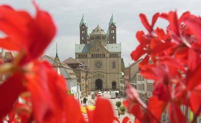 Die Welt (Германия): «Католическая церковь в мертвой точке» – кардинал Маркс попросил Папу отправить его в отставку - inosmi.ru - Германия