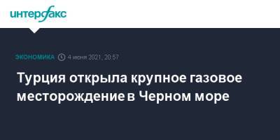Реджеп Тайип Эрдоган - Турция открыла крупное газовое месторождение в Черном море - interfax.ru - Москва - Турция - Черное Море