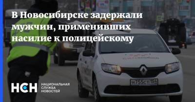 Светлана Петренко - Векил Абдуллаев - В Новосибирске задержали мужчин, применивших насилие к полицейскому - nsn.fm - Новосибирск