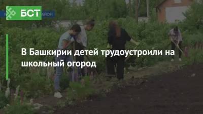 В Башкирии детей трудоустроили на школьный огород - bash.news - Башкирия