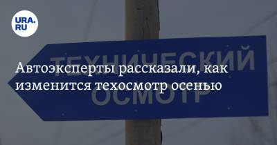 Сергей Ефремов - Автоэксперты рассказали, как изменится техосмотр осенью - ura.news