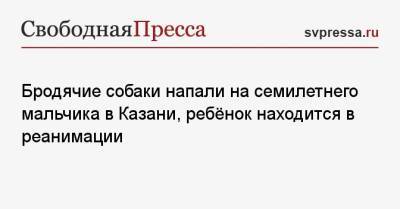 Бродячие собаки напали на семилетнего мальчика в Казани, ребёнок находится в реанимации - svpressa.ru - Воронеж - Новосибирск - Казань - Волгоград