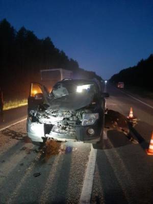 Очередной лось пал жертвой собственной безалаберности под колесами "Mitsubishi Pajero" - vologda-poisk.ru - Вологодская обл. - Вологда