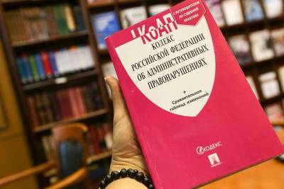 Юрист предупредила россиян о штрафах за незаконные похороны котов - vm.ru