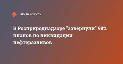 Светлана Радионова - В Росприроднадзоре "завернули" 98% планов по ликвидации нефтеразливов - ren.tv