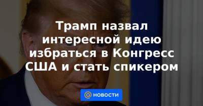 Дональд Трамп - Трамп назвал интересной идею избраться в Конгресс США и стать спикером - news.mail.ru - шт.Флорида
