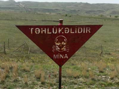 Противопехотные мины продолжают угрожать мирному населению на освобожденных землях Азербайджана - Human Rights Watch - trend.az - Азербайджан - Twitter