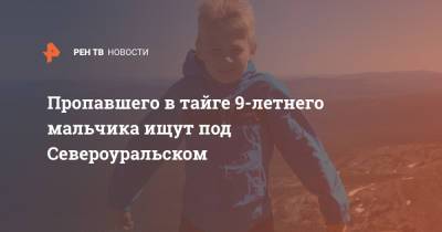 Пропавшего в тайге 9-летнего мальчика ищут под Североуральском - ren.tv - Челябинская обл. - Североуральск