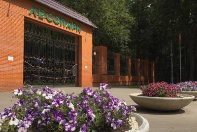 В Рязани назвали парки, которые благоустроят в 2022 году - rzn.mk.ru - Рязань - р-н. Московский - р-н Советский