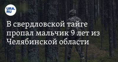 В свердловской тайге пропал мальчик 9 лет из Челябинской области - ura.news - Челябинская обл. - Свердловская обл. - Североуральск