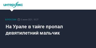 На Урале в тайге пропал девятилетний мальчик - interfax.ru - Москва - Челябинская обл. - Свердловская обл. - Североуральск