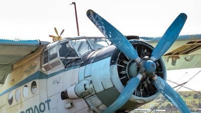 Самолет Ан-2 с пассажирами на борту экстренно сел под Челябинском - newinform.com - Челябинск - Уральск
