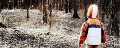 Валерий Горелых - 9-летний мальчик пропал в тайге на Урале во время похода - runews24.ru - Челябинская обл. - Свердловская обл. - Североуральск