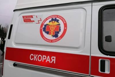 Бригады скорой помощи в Тульской области за сутки приняли 891 экстренный вызов - tula.mk.ru - Тульская обл.