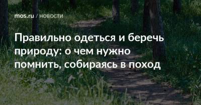 Правильно одеться и беречь природу: о чем нужно помнить, собираясь в поход - mos.ru - Москва