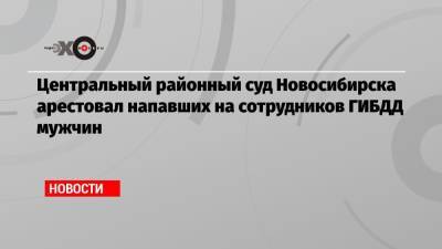 Александр Гусев - Центральный районный суд Новосибирска арестовал напавших на сотрудников ГИБДД мужчин - echo.msk.ru - Новосибирск - Новосибирская обл.