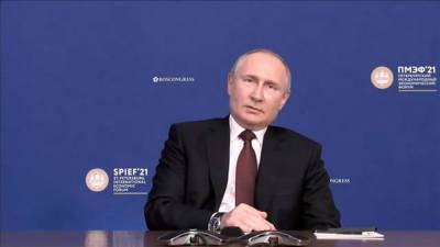 Дональд Трамп - Владимир Путин - Путин напомнил о праве России выстраивать политическую систему самостоятельно - vesti.ru