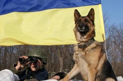 Андрей Демченко - Пограничники усиливают границу с Беларусью - from-ua.com - Украина - Житомир