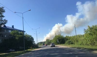 Клубы дыма от лесного пожара поднимаются недалеко от тюменской ТЭЦ-2 - nashgorod.ru - Тюмень - район Тюменский