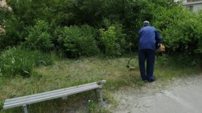 Клара Цеткин - В Пензе косят траву и убирают стихийные свалки - penzainform.ru - Пенза - Благоустройство