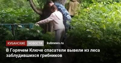 В Горячем Ключе спасатели вывели из леса заблудившихся грибников - kubnews.ru - Краснодарский край - Краснодар