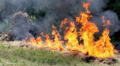В Украине объявлен чрезвычайный уровень пожарной опасности - ru.slovoidilo.ua - Сумская обл. - Волынская обл. - Тернопольская обл. - Житомирская обл.