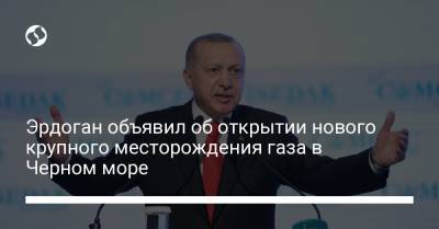 Реджеп Эрдоган - Эрдоган объявил об открытии нового крупного месторождения газа в Черном море - liga.net - Турция - Анкара