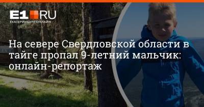 На севере Свердловской области в тайге пропал 9-летний мальчик: онлайн-репортаж - e1.ru - Екатеринбург - Свердловская обл. - Североуральск