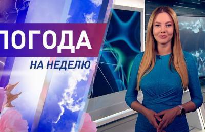 До +26℃, грозы и дожди. Погода с 7 по 13 июня. Подробный прогноз - ont.by