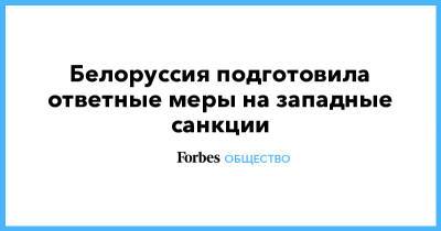 Александр Лукашенко - Роман Протасевич - Белоруссия подготовила ответные меры на западные санкции - forbes.ru - Белоруссия