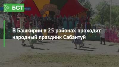 В Башкирии в 25 районах проходит народный праздник Сабантуй - bash.news - Башкирия - Уфа - Архангельск
