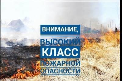 Благодаря слаженным действиям областных служб в Кадыйском районе удалось оперативно ликвидировать лесной пожар - kostroma.mk.ru - Костромская обл.