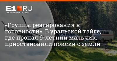 «Группы реагирования в готовности». В уральской тайге, где пропал 9-летний мальчик, приостановили поиски с земли - e1.ru - Екатеринбург - Челябинск - Свердловская обл.