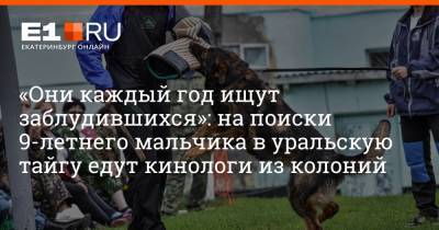 «Они каждый год ищут заблудившихся»: на поиски 9-летнего мальчика в уральскую тайгу едут кинологи из колоний - e1.ru - Екатеринбург - Свердловская обл. - Североуральск