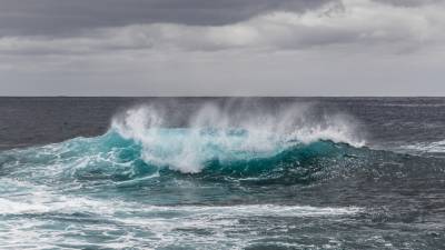 В заливе Терпения начался промысел камбалы - sakhalin.info