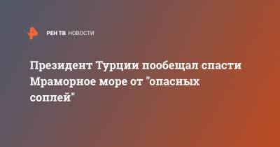 Реджеп Тайип Эрдоган - Реджеп Эрдоган - Президент Турции пообещал спасти Мраморное море от "опасных соплей" - ren.tv - Турция - Стамбул
