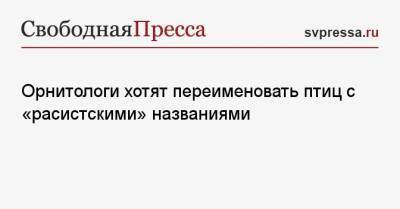 Орнитологи хотят переименовать птиц с «расистскими» названиями - svpressa.ru - Экология