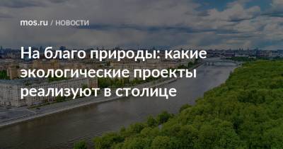 На благо природы: какие экологические проекты реализуют в столице - mos.ru - Москва - Экология