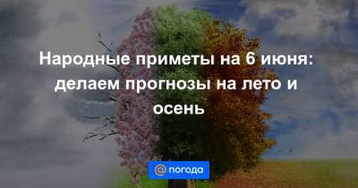 Народные приметы на 6 июня: делаем прогнозы на лето и осень - news.mail.ru - Русь
