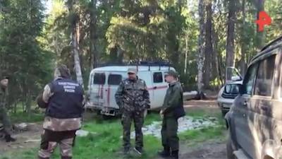 Валерий Горелых - СК начал проверку после обнаружения ребенка в тайге под Североуральском - iz.ru - Свердловская обл. - Североуральск