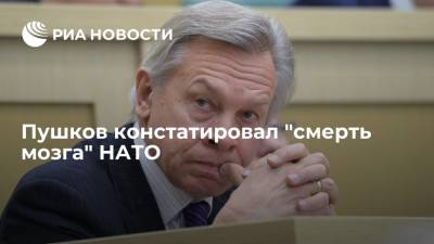 Йенс Столтенберг - Алексей Пушков - Пушков констатировал "смерть мозга" НАТО - ria.ru - Москва - Сирия - Белоруссия