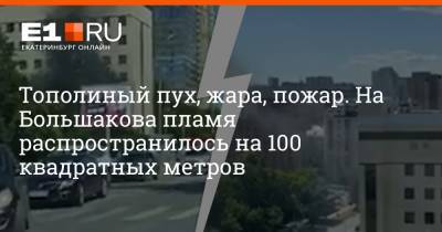 Тополиный пух, жара, пожар. На Большакова пламя распространилось на 100 квадратных метров - e1.ru - Екатеринбург - Свердловская обл.