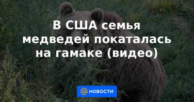 Анна Лысенко - В США семья медведей покаталась на гамаке (видео) - news.mail.ru - штат Теннесси