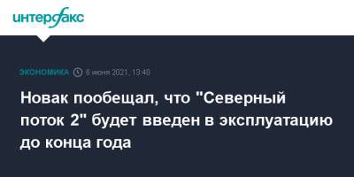 Александр Новак - Райнер Зеле - Новак пообещал, что "Северный поток 2" будет введен в эксплуатацию до конца года - interfax.ru - Москва - Австрия
